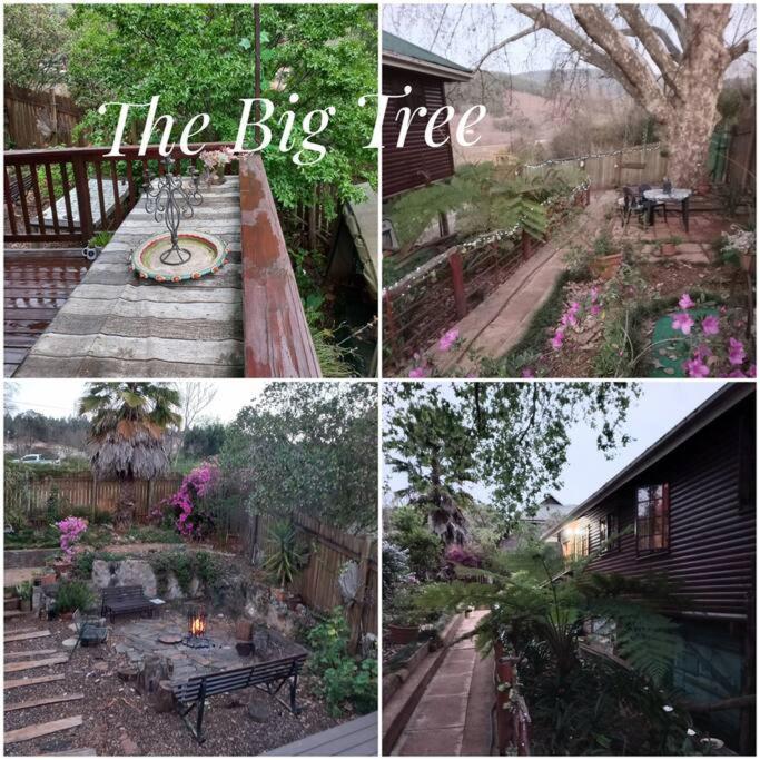 The Big Tree @ Sabie Villa Exterior photo